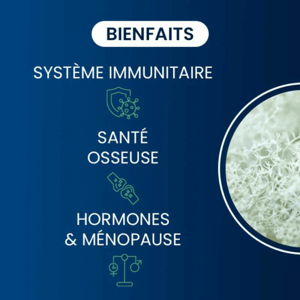 beinfaits compléments alimentaires vitamine D3 végétale dynveo laboratoire français