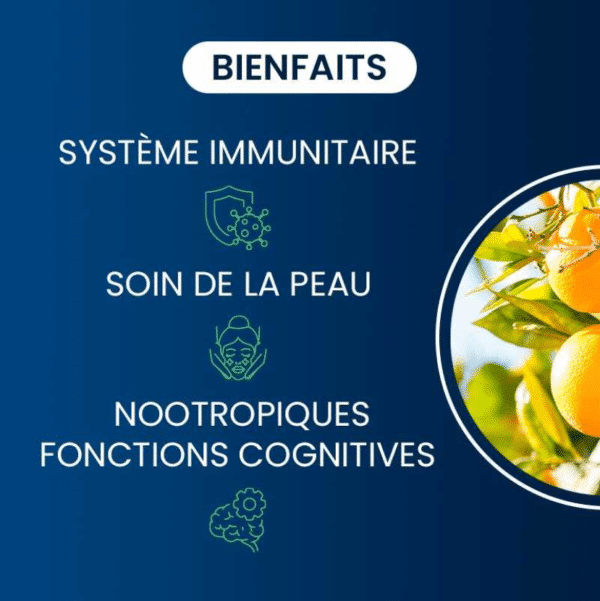 bienfaits Vitamine C Liposomale laboratoire français