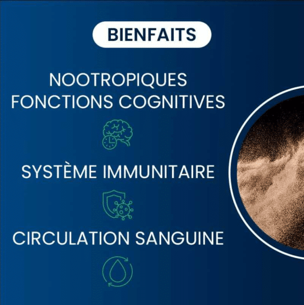 bienfaits compléments alimentaires Vitamine B9 Quatrefolic dynveo laboratoire français