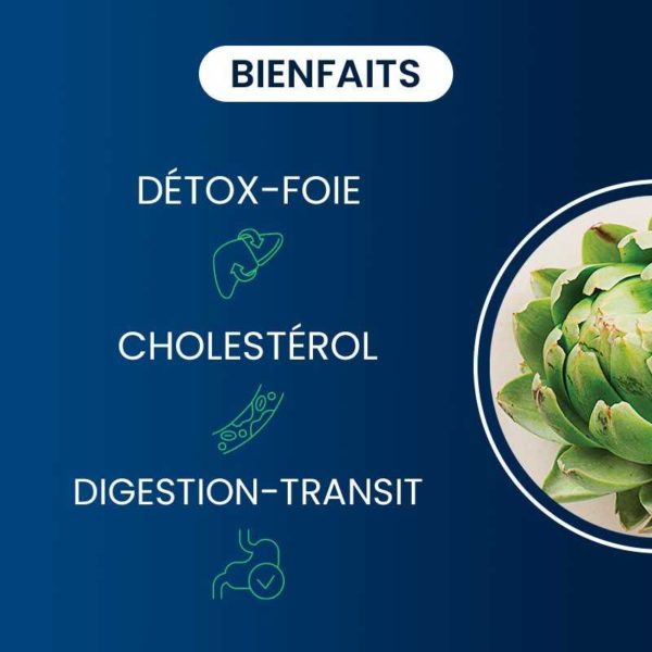 Bienfaits compléments alimentaires extrait d'artichaut dynveo laboratoire français