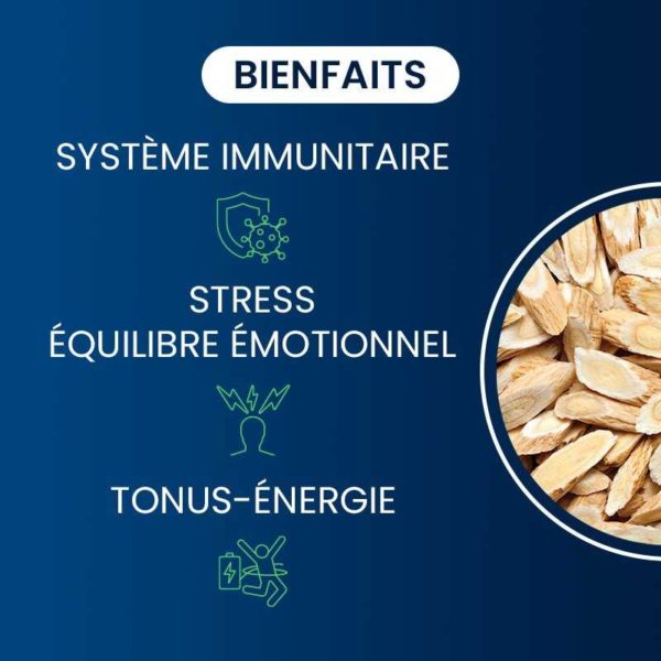 bienfaits compléments alimentaires astragale bio dynveo laboratoire français
