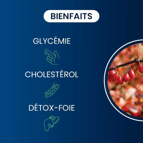 bienfaits compléments alimentaires berbérine pure dynveo laboratoire français