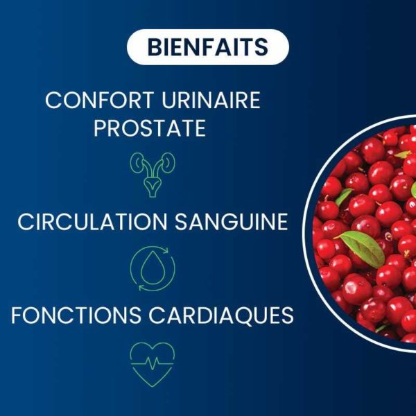 bienfaits compléments alimentaires canneberge bio (cranberry) dynveo laboratoire français