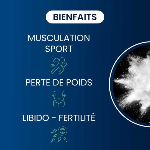 bienfaits compléments alimentaires L-carnitine (tartare) carnipure® dynveo laboratoire français