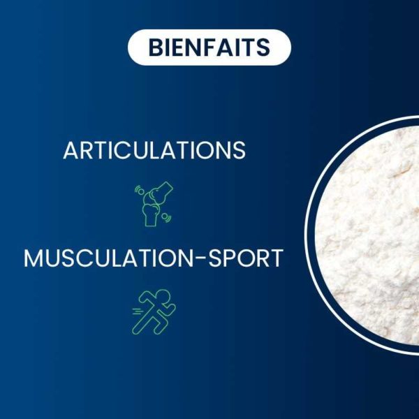 Bienfaits compléments alimentaires chondroïtine sulfate dynveo laboratoire français