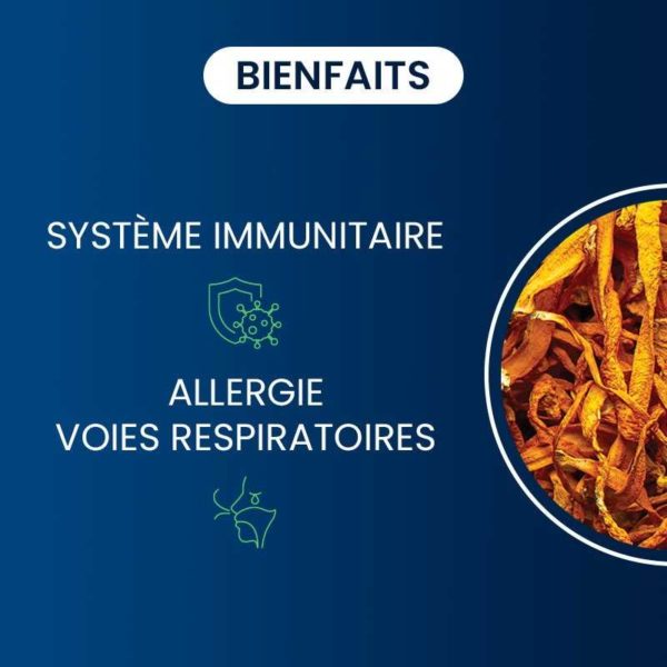 Bienfaits compléments alimentaires cordyceps sinensis bio dynveo laboratoire français