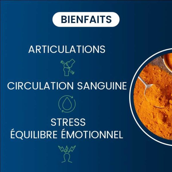 bienfaits compléments alimentaires curcumine bio optimisée dynveo laboratoire français