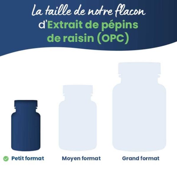 format complément alimentaire extrait de pépins de raisin 60 gélules dynveo laboratoire français