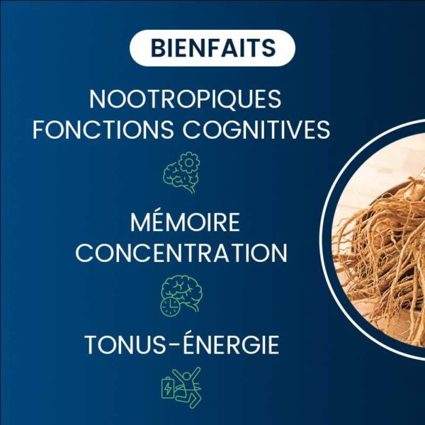 bienfaits compléments alimentaires ginseng bio coréen dynveo laboratoire français