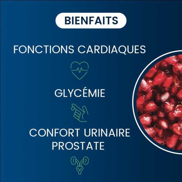 bienfaits compléments alimentaires grenade bio dynveo laboratoire français