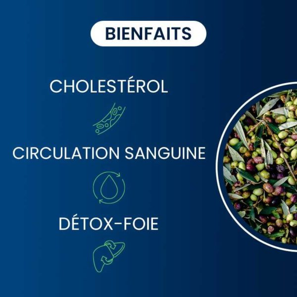 compléments alimentaires hydroxytyrosol extrait d'olive bio dynveo laboratoire français