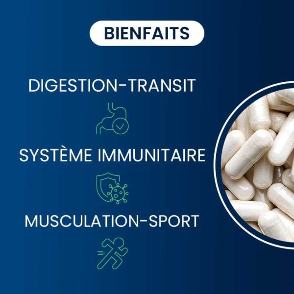 compléments alimentaires L-glutamine naturelle dynveo laboratoire français