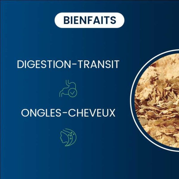 compléments alimentaires levure de bière bio-active dynveo laboratoire français