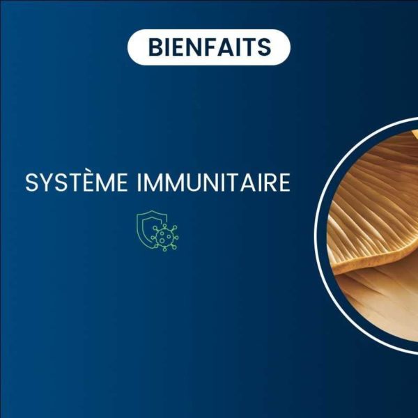 compléments alimentaires maitaké bio dynveo laboratoire français