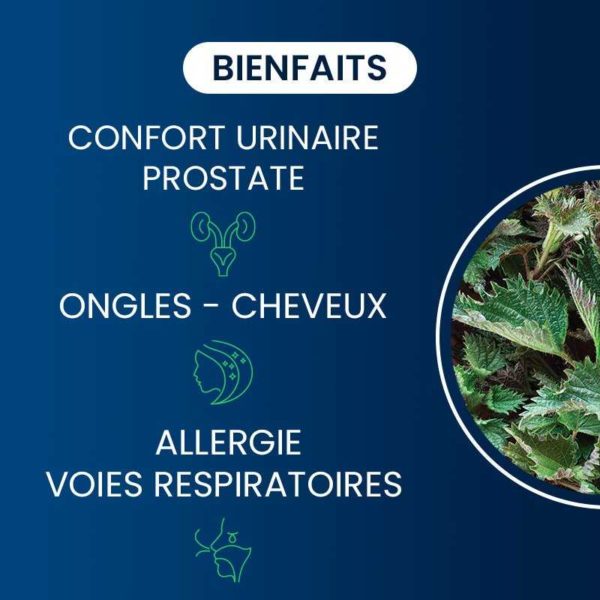compléments alimentaires racine d'ortie bio dynveo laboratoire français