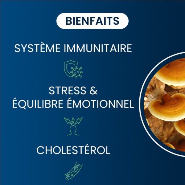 compléments alimentaires reishi bio dynveo laboratoire français
