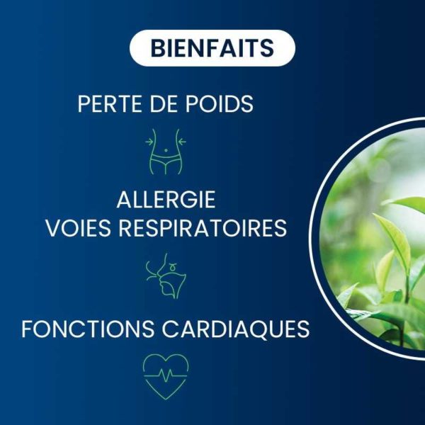 compléments alimentaires thé vert bio dynveo laboratoire français